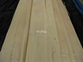 Chinese Maple veneer