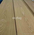 Chinese ash wood veneer