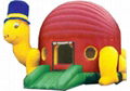 inflatables 1