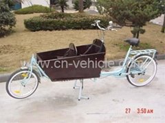 Cargo bicycle GW25-2