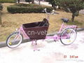 Cargo bicycle GW25-1 1