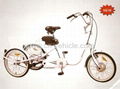 Electric Tricycle NY-TC7009 1