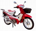 110cc cub 2