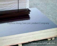 offer film faced shuttering plywood from China