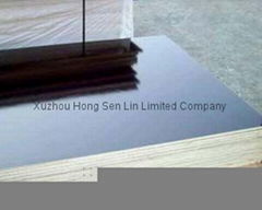 offer film faced plywood for concrete formwork