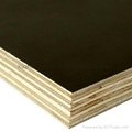 offer film faced plywood