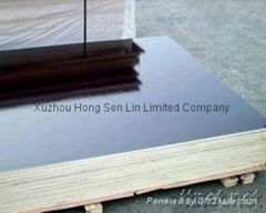 offer film faced plywood from China