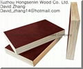 Offer Film faced Plywood from China 1