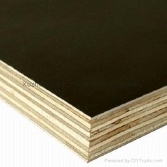offer film faced molding plywood from China