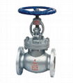 globe valve 1