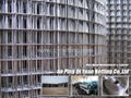 Galvanized welded wire mesh