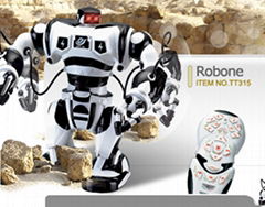 RC ROBOT