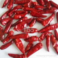 dried chili