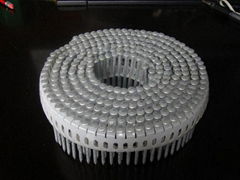 Plastic strip coil nail