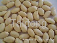 blanched peanut