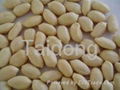 blanched peanut 1