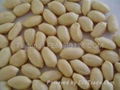 blanched peanut 1