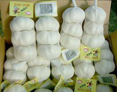 white garlic