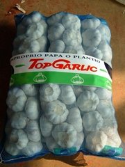 normal white garlic,6cm