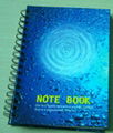 Spiral Notebooks 5