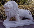 lion 1