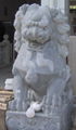 Stone Lion 1