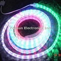 LED Rope Light