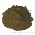 kelp powder