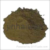 kelp powder