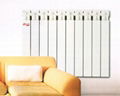 Aluminum Radiators