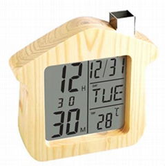 LCD Clock