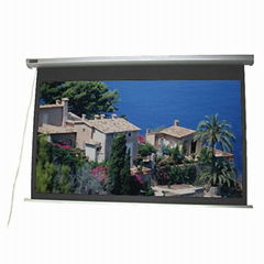 Top Grade Matte White Motorized Screen