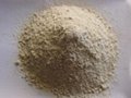 rice protein concentrate