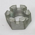 Hexagon Slot Nut DIN935 DIN937