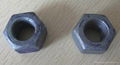 AS1252 HEX NUTS