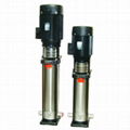 vertical multistage centrifugal pump