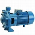 two-stage centrifugal pump 1