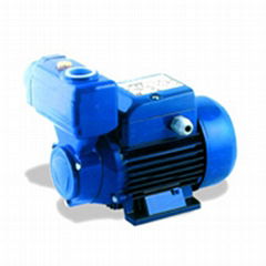 self-priming peripheral pump