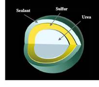 Sulfur Coated urea 2