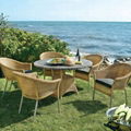 rattan chairs