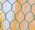 hexagonal mesh