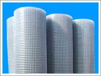 Welded Wire Mesh