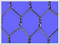 hexagnoal wire mesh