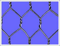 hexagnoal wire mesh