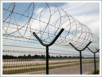 barbed wire