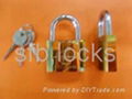 padlocks 1