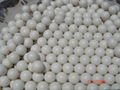 6mm 0.20g airsoft BB's 1