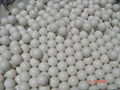 6mm 0.25g airsoft BBs