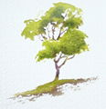 Watercolors (Watercolours) Paintings,