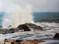 Oil Painting -Landscape Oil Paintings, Seascape Oil Paintings 3